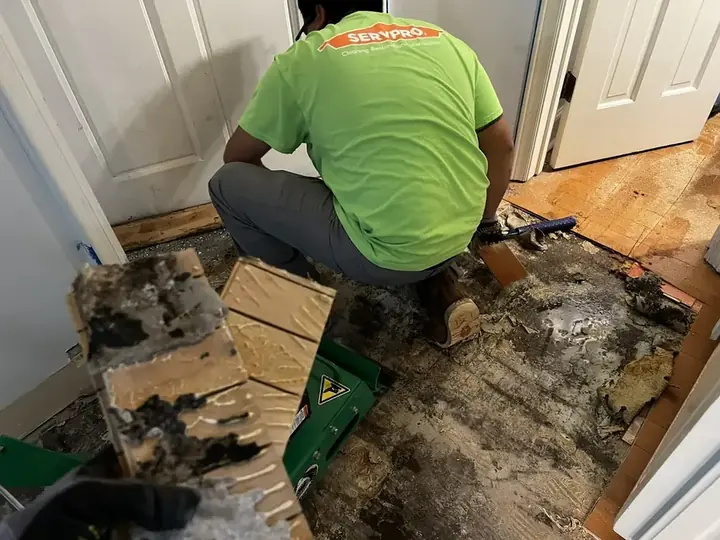 Frozen pipe burst dried in a hallway in a Garland, TX home