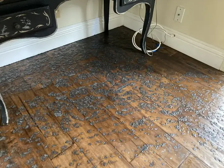 Slab leak located and dried in a kitchen in a Garland, TX home